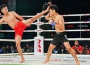 综合格斗赛事，为文旅添动力