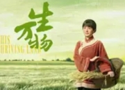 《生万物》定档央视黄金档：杨幂领衔年代剧王炸，演绎土地与命运的史诗