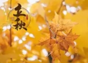 立秋≠入秋！养生需谨记“三防一养”
