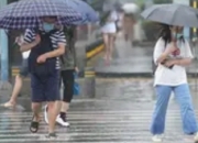 郑州防汛应急响应升至三级：全城进入"三停"模式背后的防灾逻辑