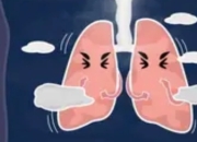 秋燥易伤肺，秋季养肺正当时