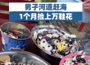 男子河道“赶海”月捡上万鞋花