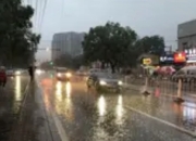 暴雨中的“冰火交响”：上海零下80度咖啡排队潮背后的城市消费图景