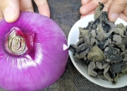 洋葱和木耳能一起吃吗